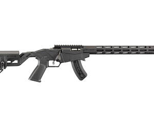 Ruger Precision 17 HMR